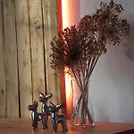 דירה Fachwerkwinkel Erzgebirge