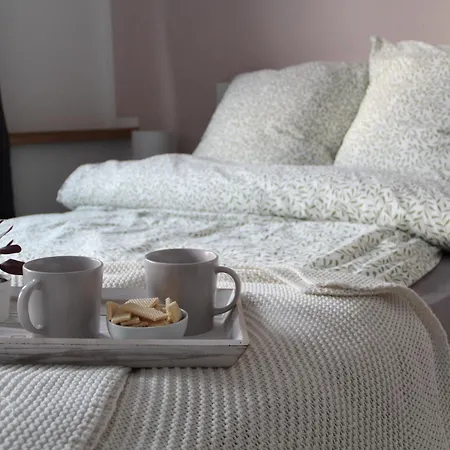 Fachwerkwinkel Erzgebirge Appartement