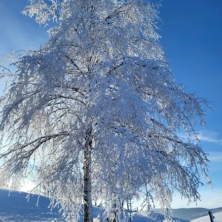 Fachwerkwinkel Erzgebirge Апартаменты Neudorf (Saxony)