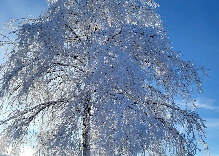 Fachwerkwinkel Erzgebirge Apartment Neudorf (Saxony)